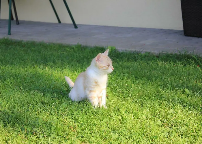 Kusternighof Pensión Velden am Wörthersee